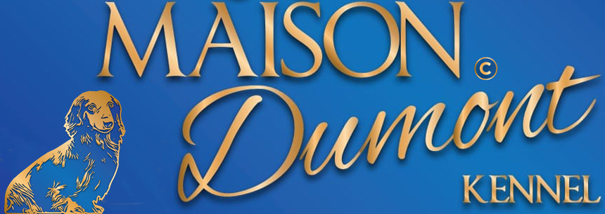 Maison Dumont Allevamento Logo
